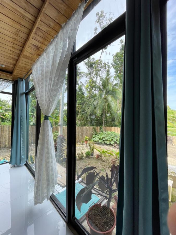 Casa Aguelo Chocolate Hills Bed and Breakfast Carmen  Exteriör bild
