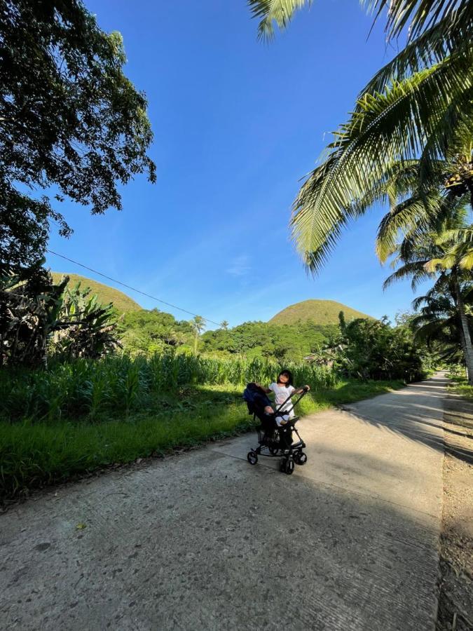 Casa Aguelo Chocolate Hills Bed and Breakfast Carmen  Exteriör bild