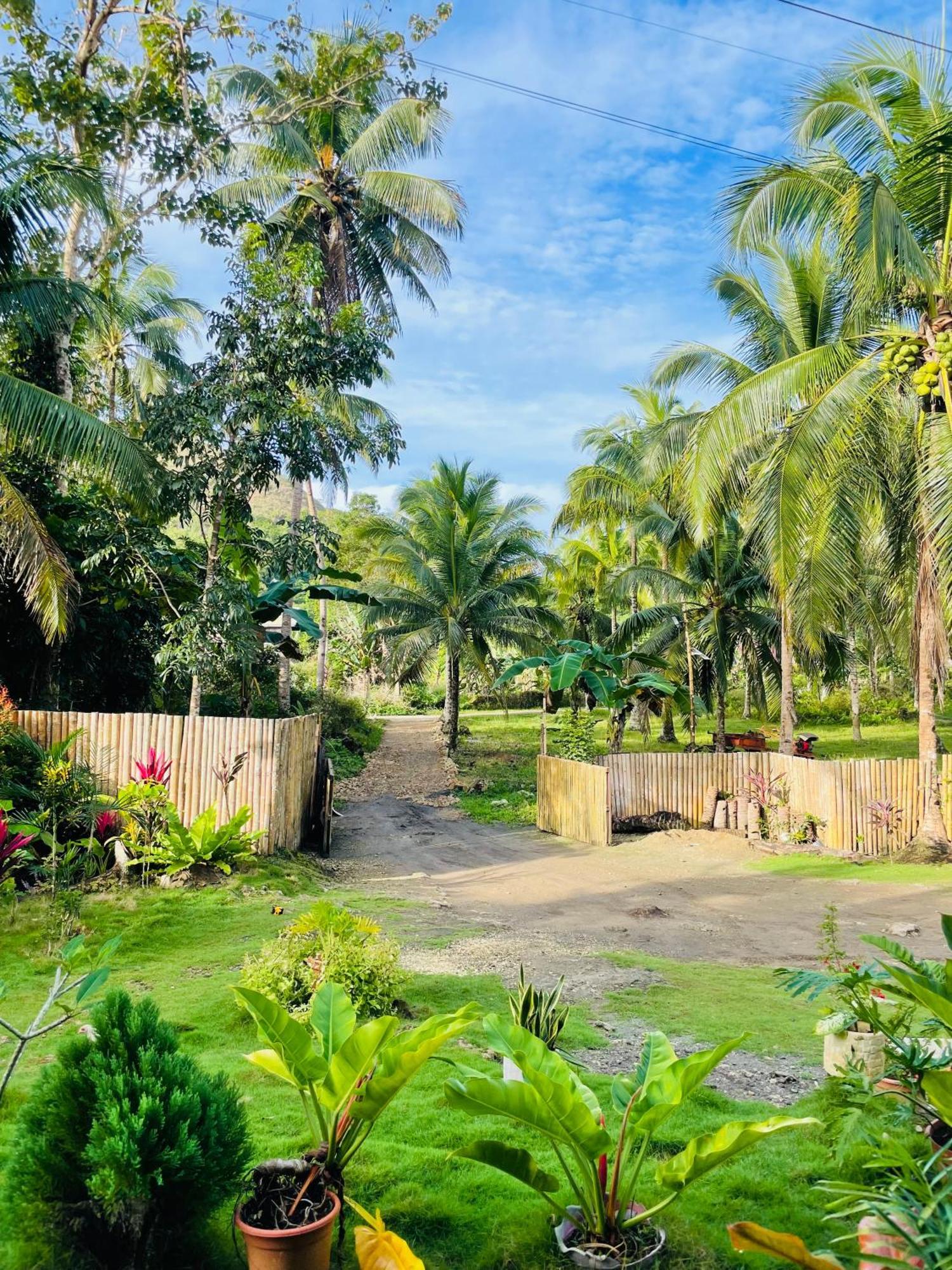 Casa Aguelo Chocolate Hills Bed and Breakfast Carmen  Exteriör bild