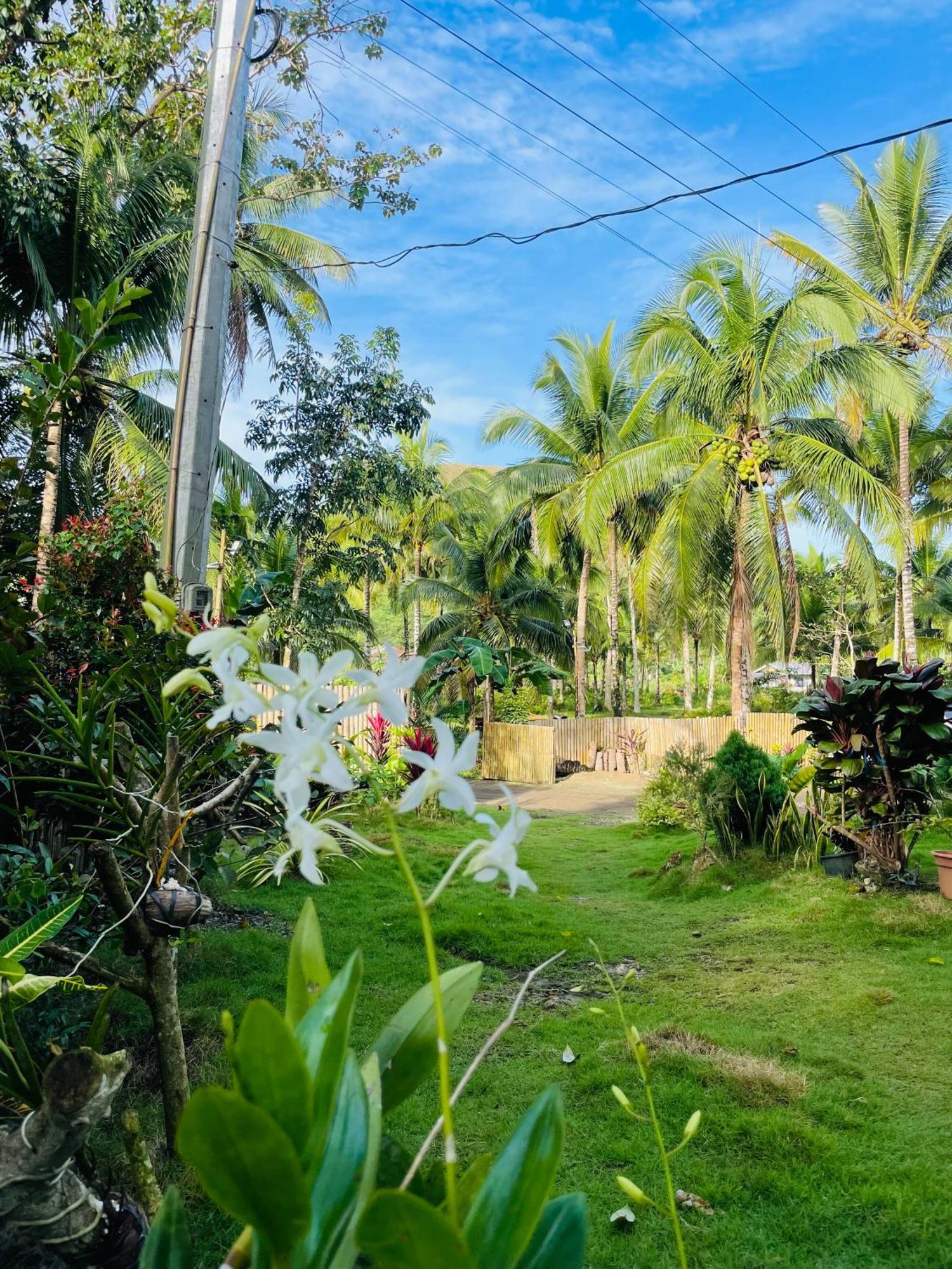 Casa Aguelo Chocolate Hills Bed and Breakfast Carmen  Exteriör bild