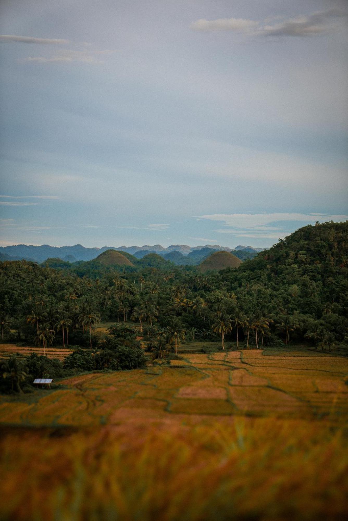 Casa Aguelo Chocolate Hills Bed and Breakfast Carmen  Exteriör bild